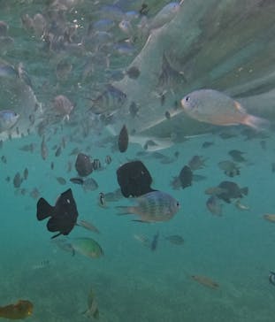 Nice Time okinawa（ナイスタイムオキナワ）に投稿された画像（2024/8/19）