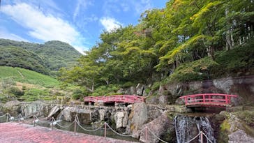 陽光美術館・日本庭園 慧洲園に投稿された画像（2024/8/19）