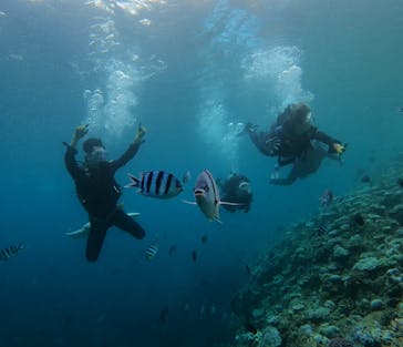 武藤潜水に投稿された画像（2024/8/19）