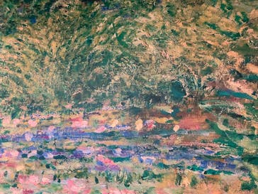 モネ＆フレンズ・アライブに投稿された画像（2024/8/19）