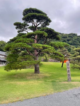 仙巌園に投稿された画像（2024/8/19）