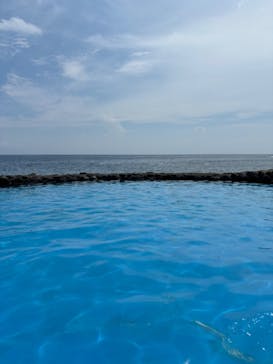 伊豆海洋公園磯プールに投稿された画像（2024/8/19）