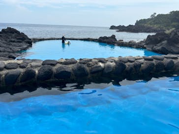 伊豆海洋公園磯プールに投稿された画像（2024/8/19）