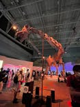 巨大恐竜展2024に投稿された画像（2024/8/19）