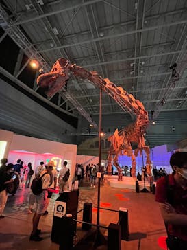 巨大恐竜展2024に投稿された画像（2024/8/19）
