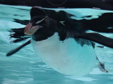 AOAO SAPPOROに投稿された画像（2024/8/19）