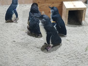 AOAO SAPPOROに投稿された画像（2024/8/19）