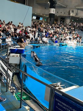 マクセル アクアパーク品川に投稿された画像（2024/8/19）