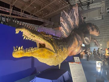 巨大恐竜展2024に投稿された画像（2024/8/19）