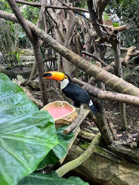 那須どうぶつ王国に投稿された画像（2024/8/19）