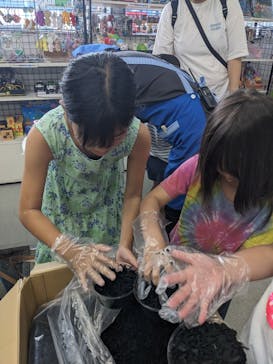 伊勢志摩みやげセンター王将　鳥羽本店に投稿された画像（2024/8/19）