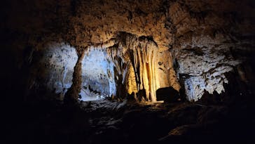 おきなわワールドに投稿された画像（2024/8/19）