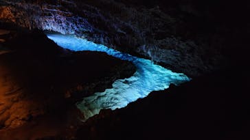 おきなわワールドに投稿された画像（2024/8/19）