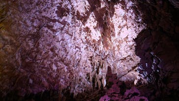 おきなわワールドに投稿された画像（2024/8/19）