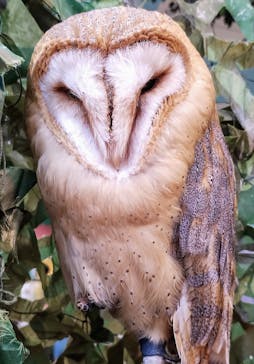 いきもの探検隊上尾に投稿された画像（2024/8/19）