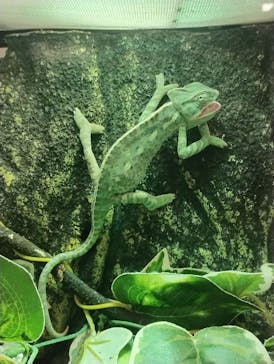 いきもの探検隊上尾に投稿された画像（2024/8/19）