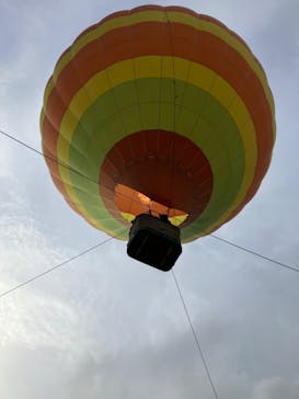 Outdoor Amusement Companyに投稿された画像（2024/8/19）