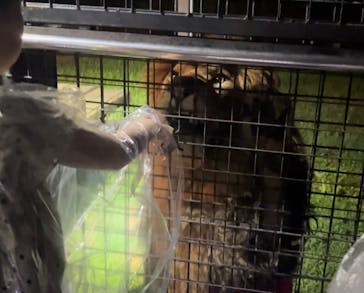 那須サファリパークに投稿された画像（2024/8/14）