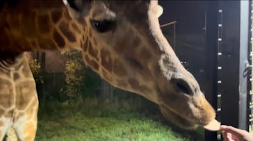 那須サファリパークに投稿された画像（2024/8/14）