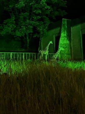 名古屋市東山動植物園に投稿された画像（2024/8/19）