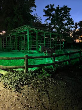 名古屋市東山動植物園に投稿された画像（2024/8/19）