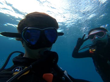 ダイビングショップ　ハイビスカスに投稿された画像（2024/8/19）