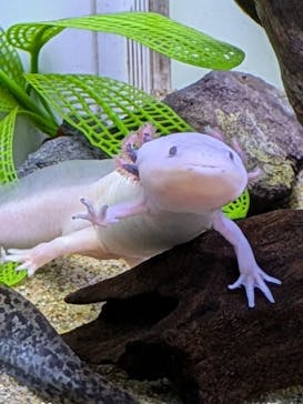 サンシャイン水族館に投稿された画像（2024/8/19）