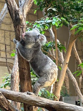 名古屋市東山動植物園に投稿された画像（2024/8/19）