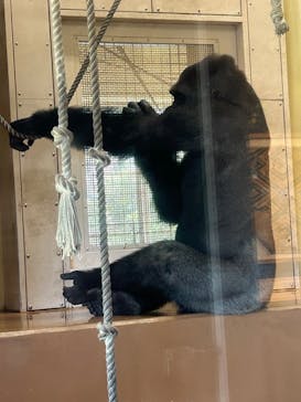 名古屋市東山動植物園に投稿された画像（2024/8/19）