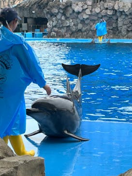 名古屋港水族館に投稿された画像（2024/8/19）