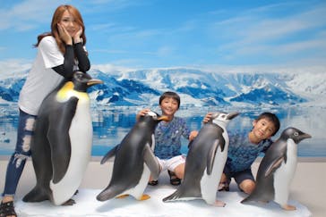 名古屋港水族館に投稿された画像（2024/8/19）
