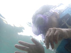 海島遊民くらぶに投稿された画像（2024/8/19）