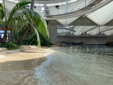 鴨川シーワールドに投稿された画像（2024/8/19）