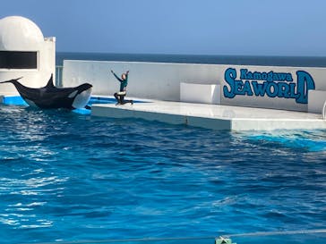 鴨川シーワールドに投稿された画像（2024/8/19）