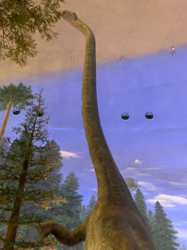 福井県立恐竜博物館に投稿された画像（2024/8/19）