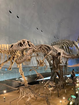 福井県立恐竜博物館に投稿された画像（2024/8/19）