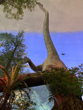 福井県立恐竜博物館に投稿された画像（2024/8/19）