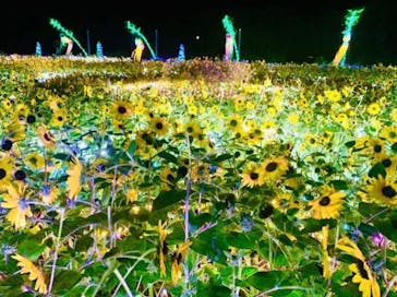 せんだい農業園芸センター　みどりの杜に投稿された画像（2024/8/19）