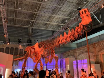 巨大恐竜展2024に投稿された画像（2024/8/19）
