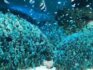 サンシャイン水族館に投稿された画像（2024/8/19）