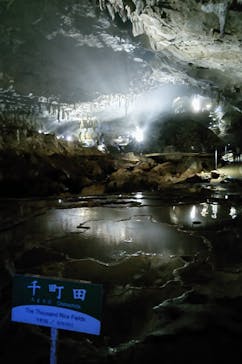 秋芳洞に投稿された画像（2024/8/19）