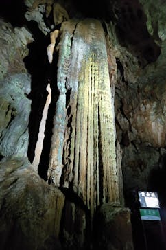 秋芳洞に投稿された画像（2024/8/19）