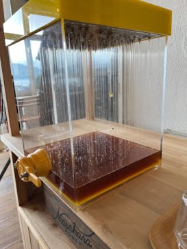 KASAHARA HONEYに投稿された画像（2024/8/19）