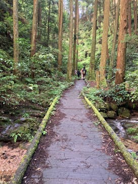 高福寺に投稿された画像（2024/8/19）