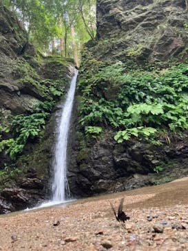 高福寺に投稿された画像（2024/8/19）