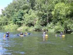 ネイチャーラインに投稿された画像（2024/8/19）