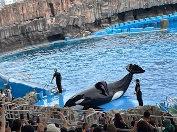 名古屋港水族館に投稿された画像（2024/8/19）