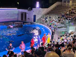 仙台うみの杜水族館に投稿された画像（2024/8/19）