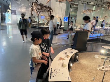 国立科学博物館に投稿された画像（2024/8/19）