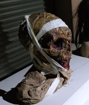 新潟県立自然科学館に投稿された画像（2024/8/19）